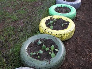 garden-tires-web